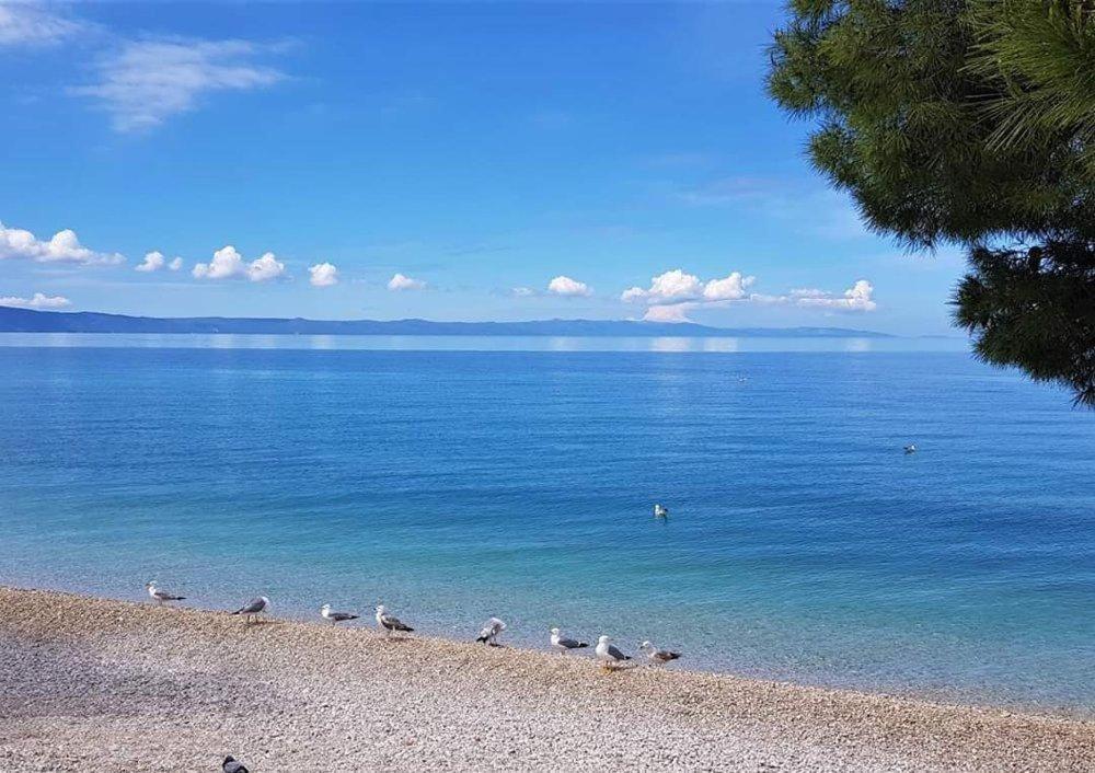 Apartmani Mirona - Tucepi Tučepi Exterior foto