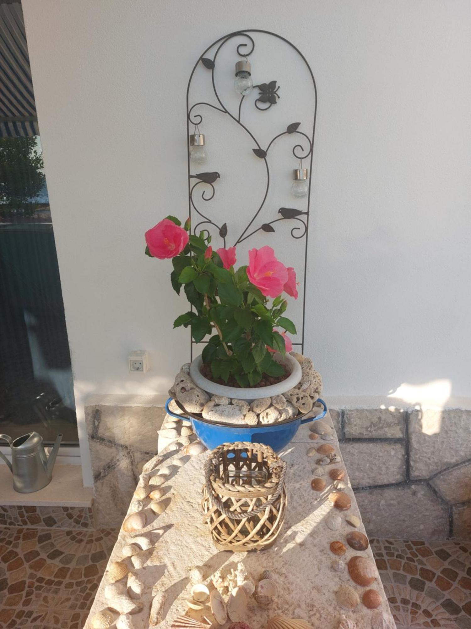 Apartmani Mirona - Tucepi Tučepi Exterior foto
